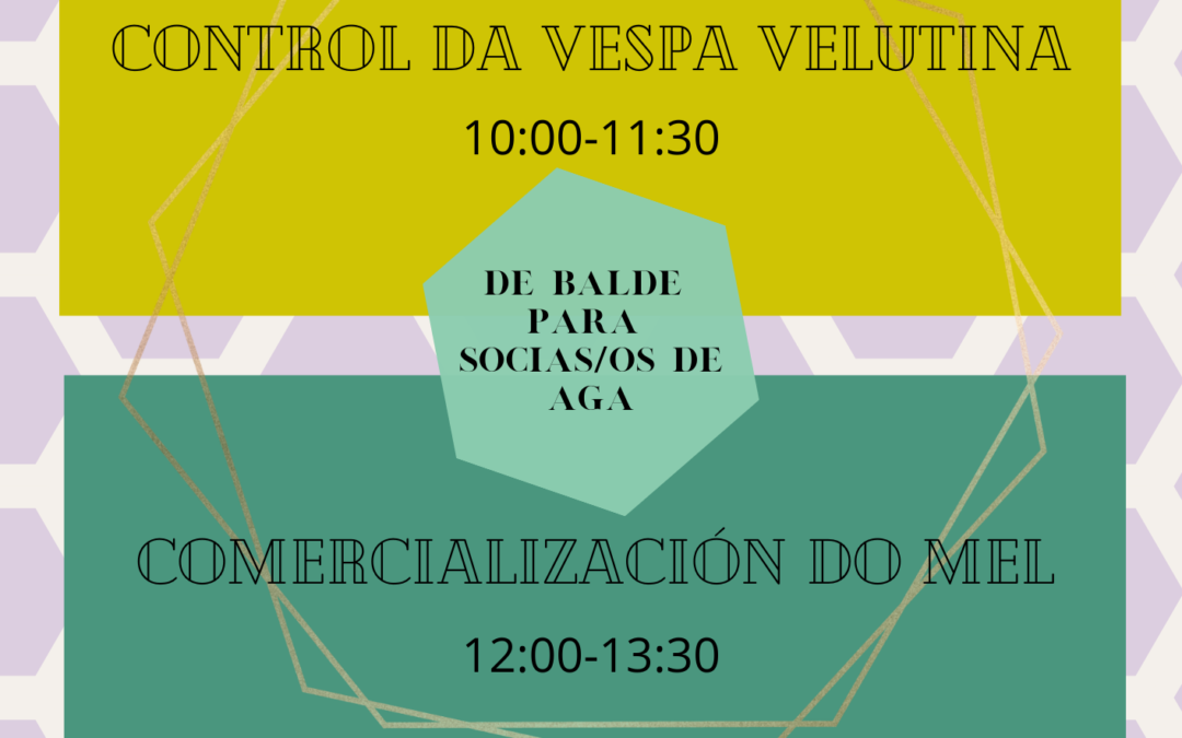 Control da Vespa Velutina- Comercialización do Mel